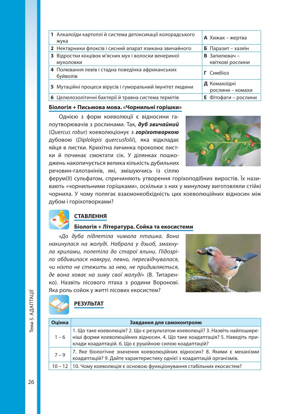 Мініатюра 26