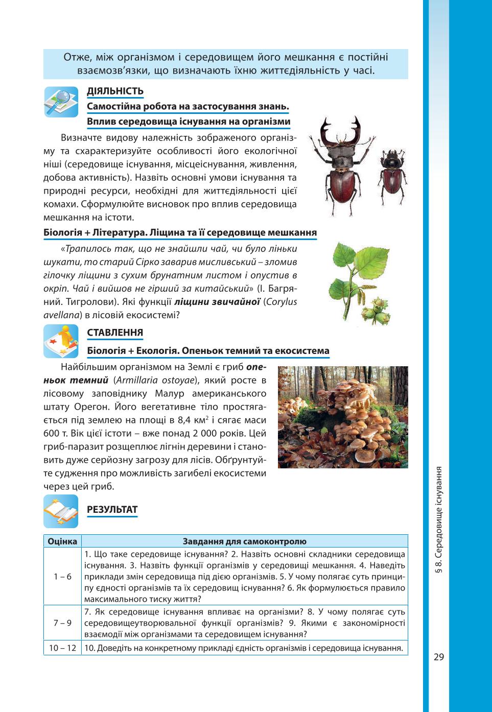 Мініатюра 29