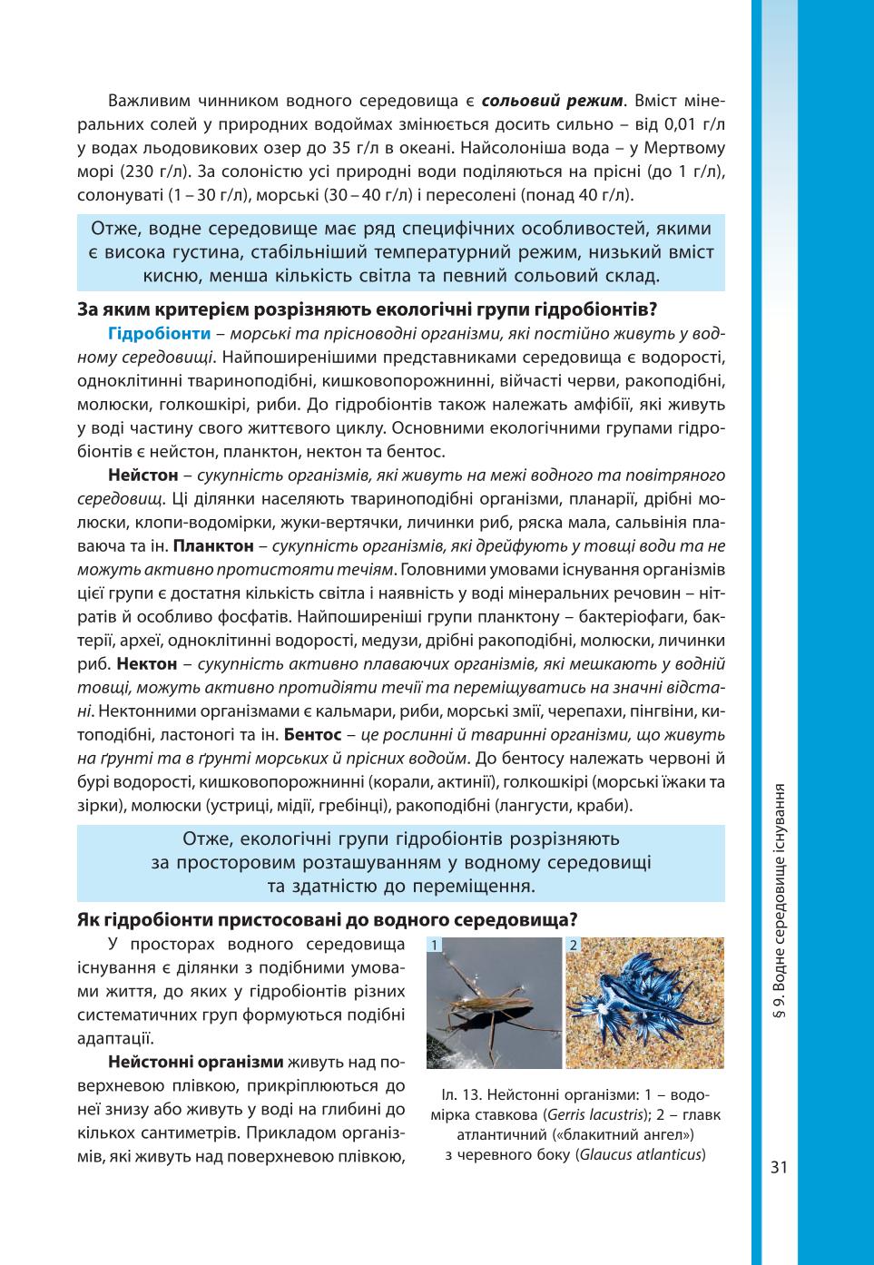 Мініатюра 31