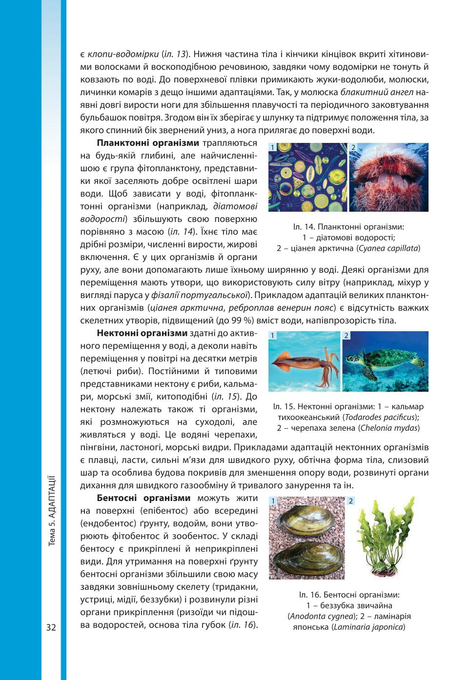Мініатюра 32