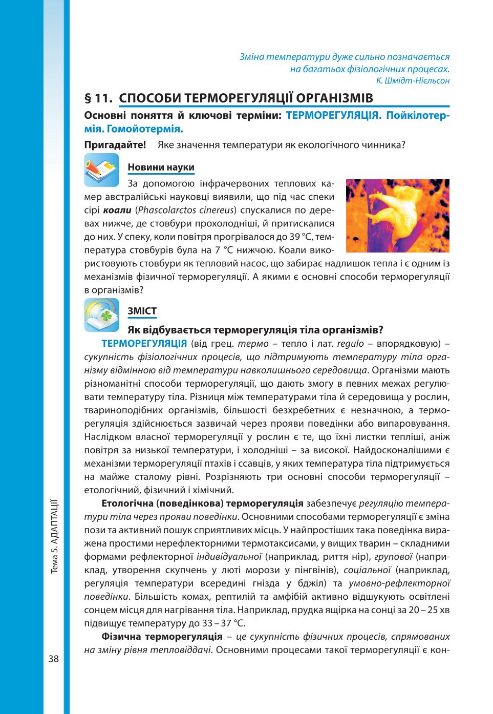 Мініатюра 38