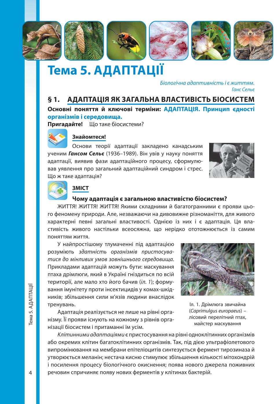 Мініатюра 4