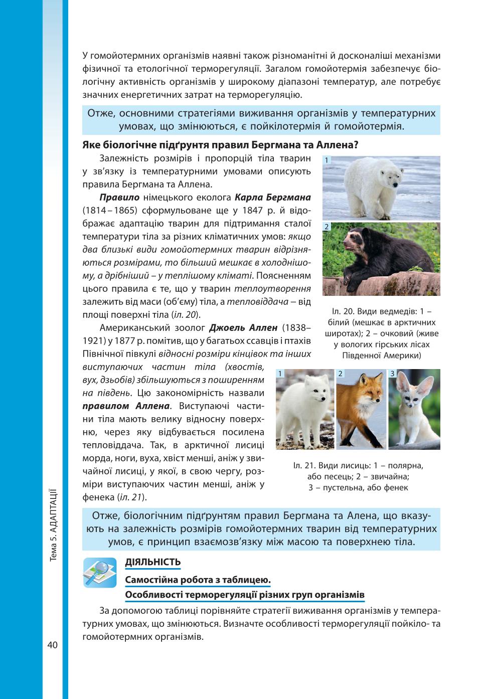 Мініатюра 40
