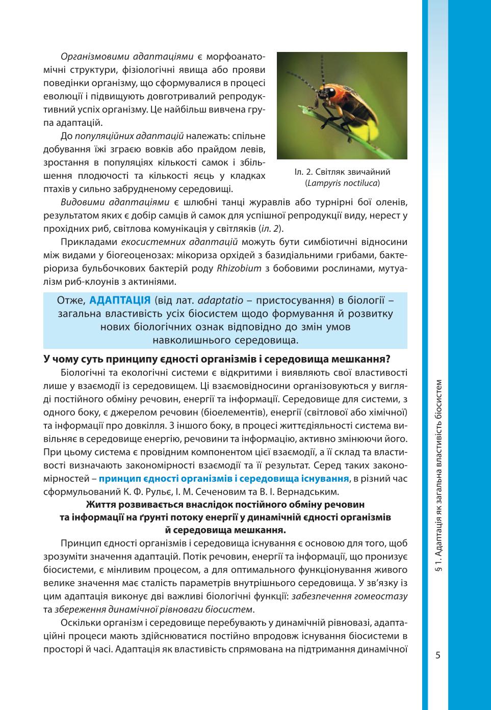 Мініатюра 5