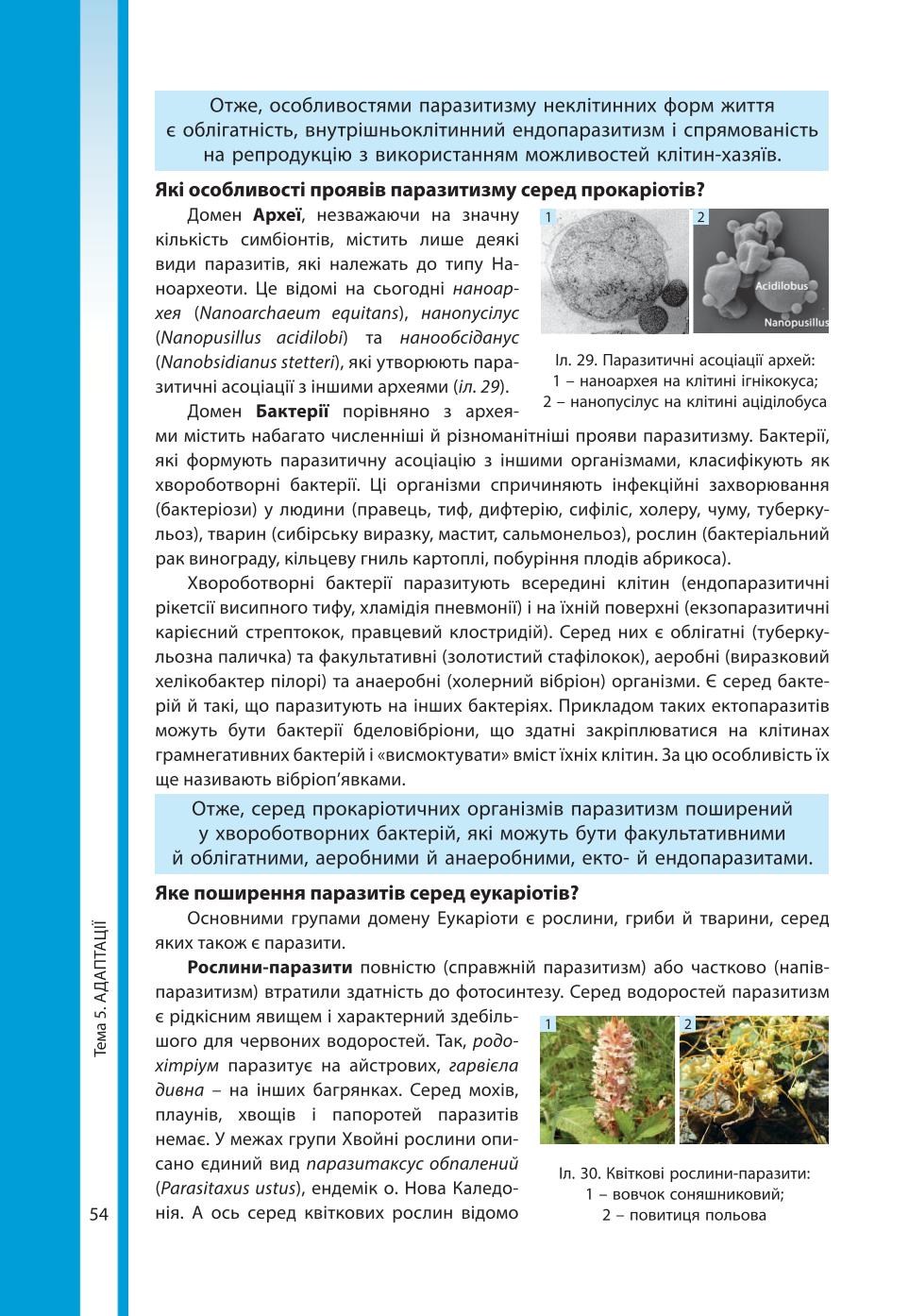 Мініатюра 54