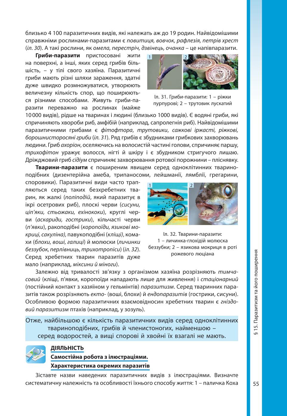 Мініатюра 55