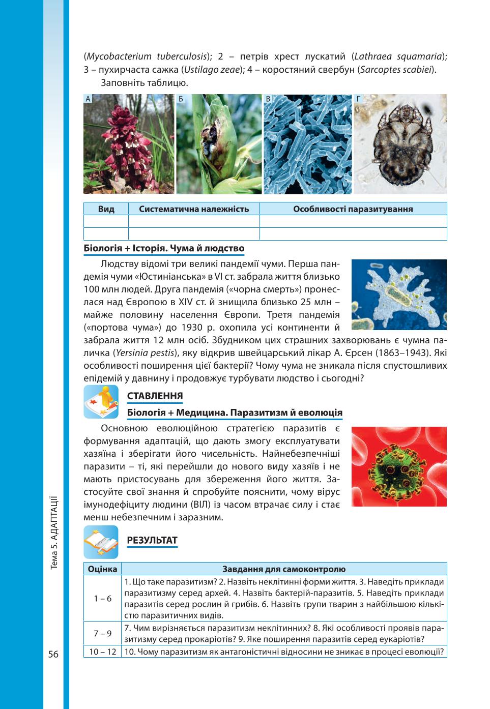 Мініатюра 56