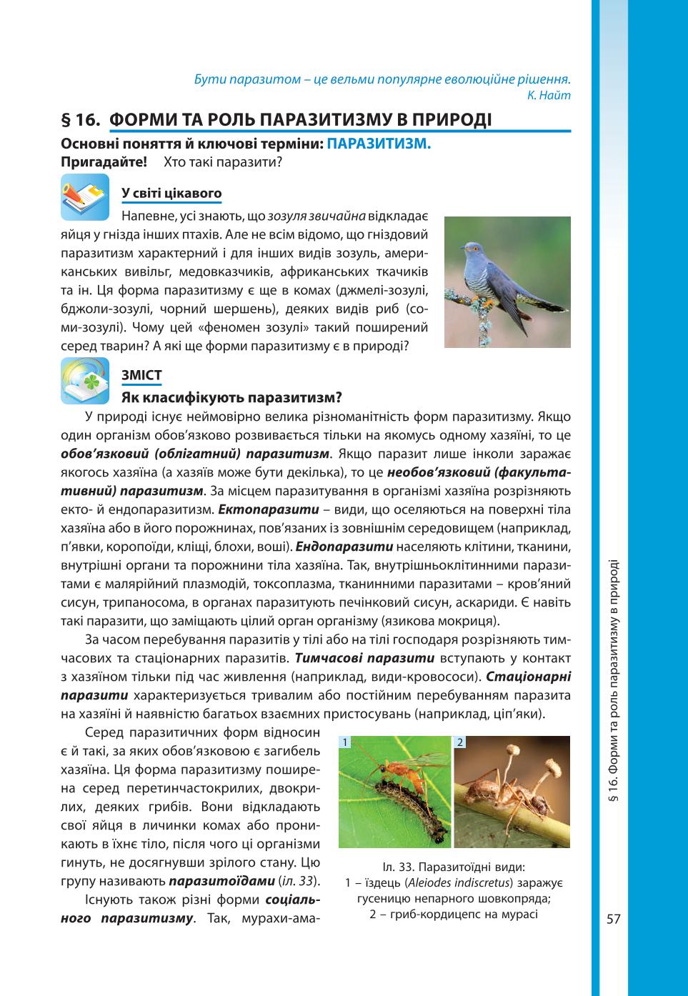 Мініатюра 57