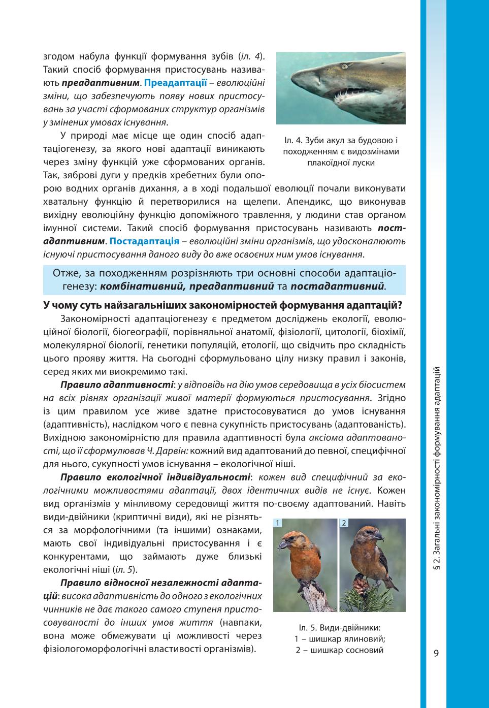 Мініатюра 9