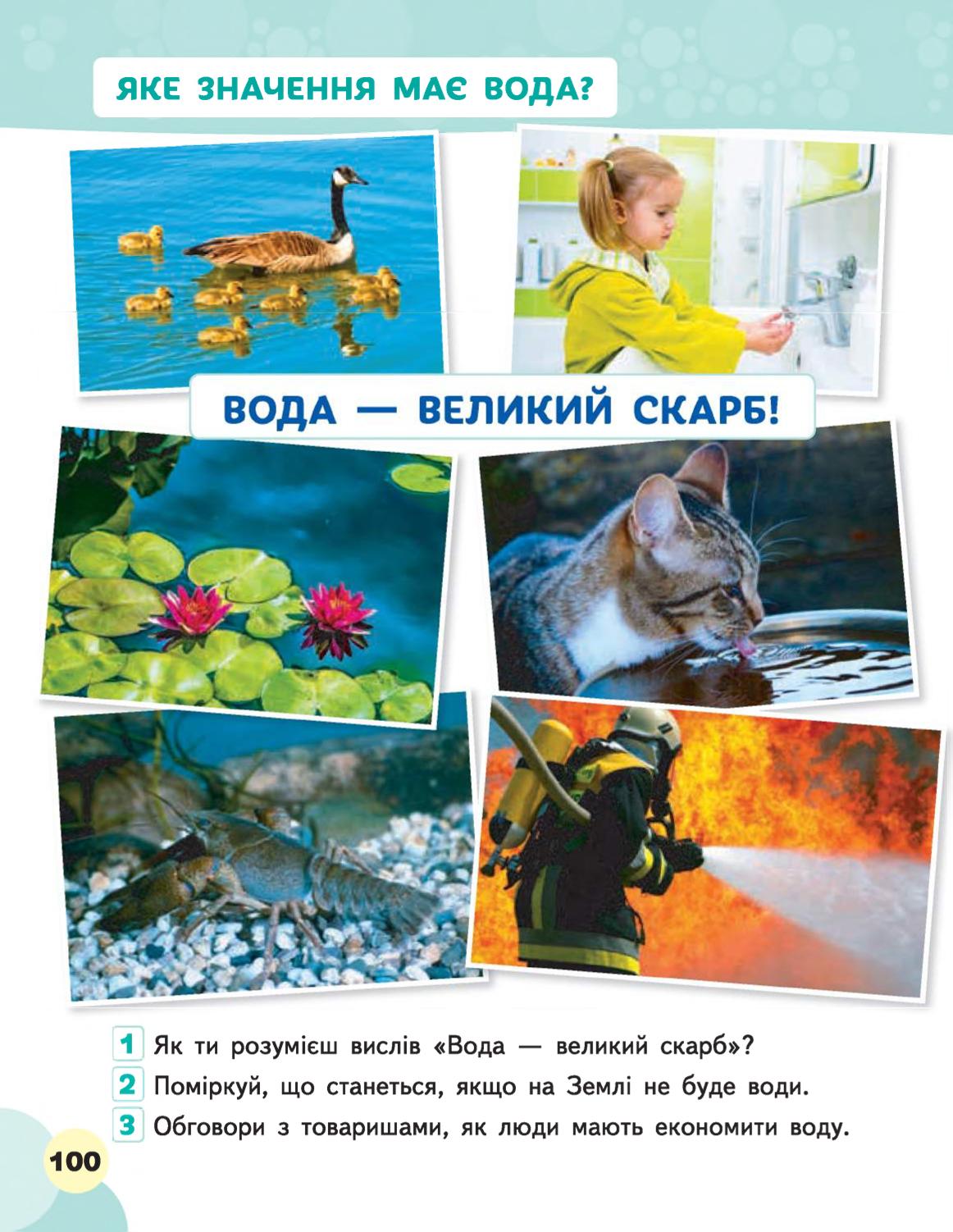 Мініатюра 100