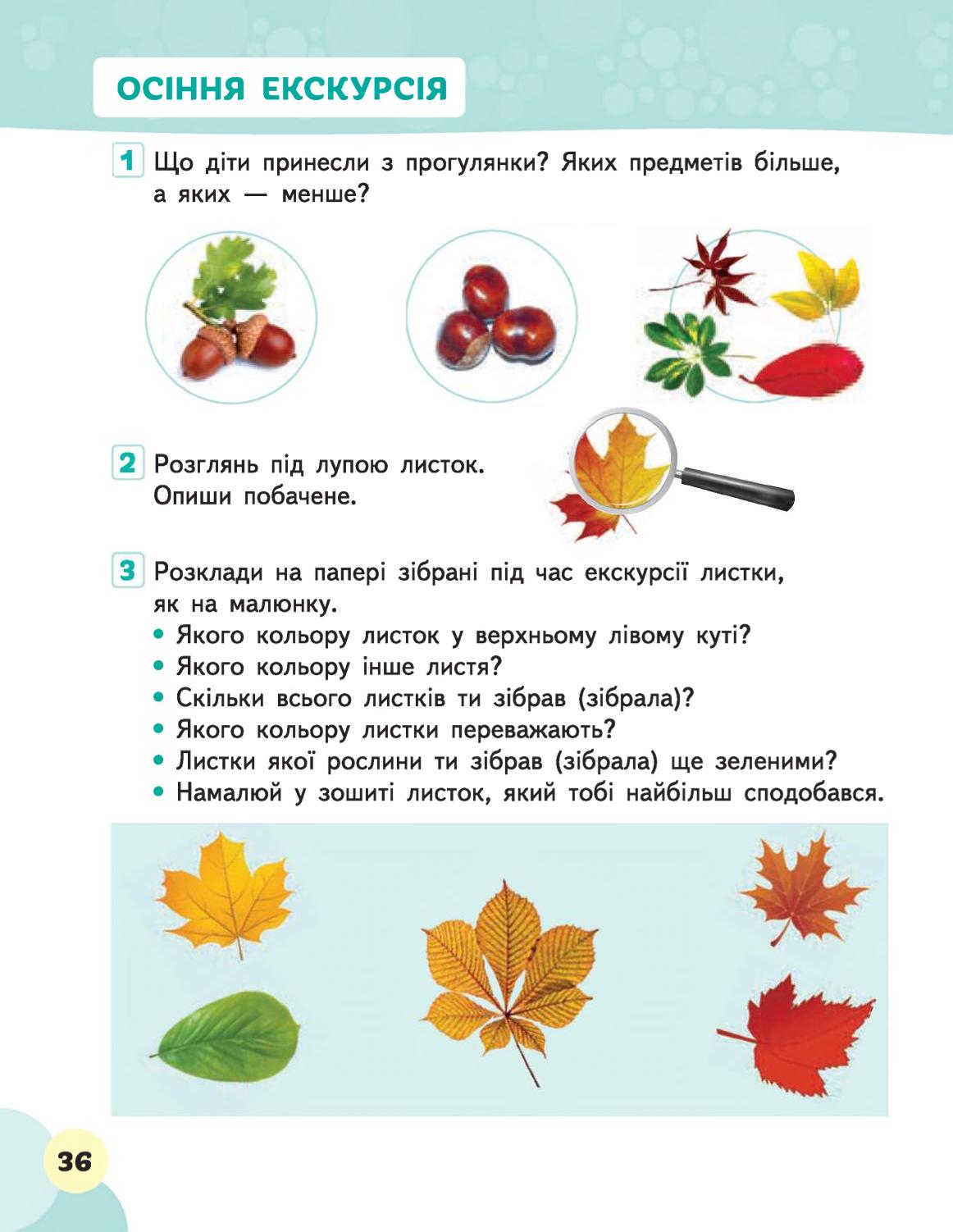 Мініатюра 36