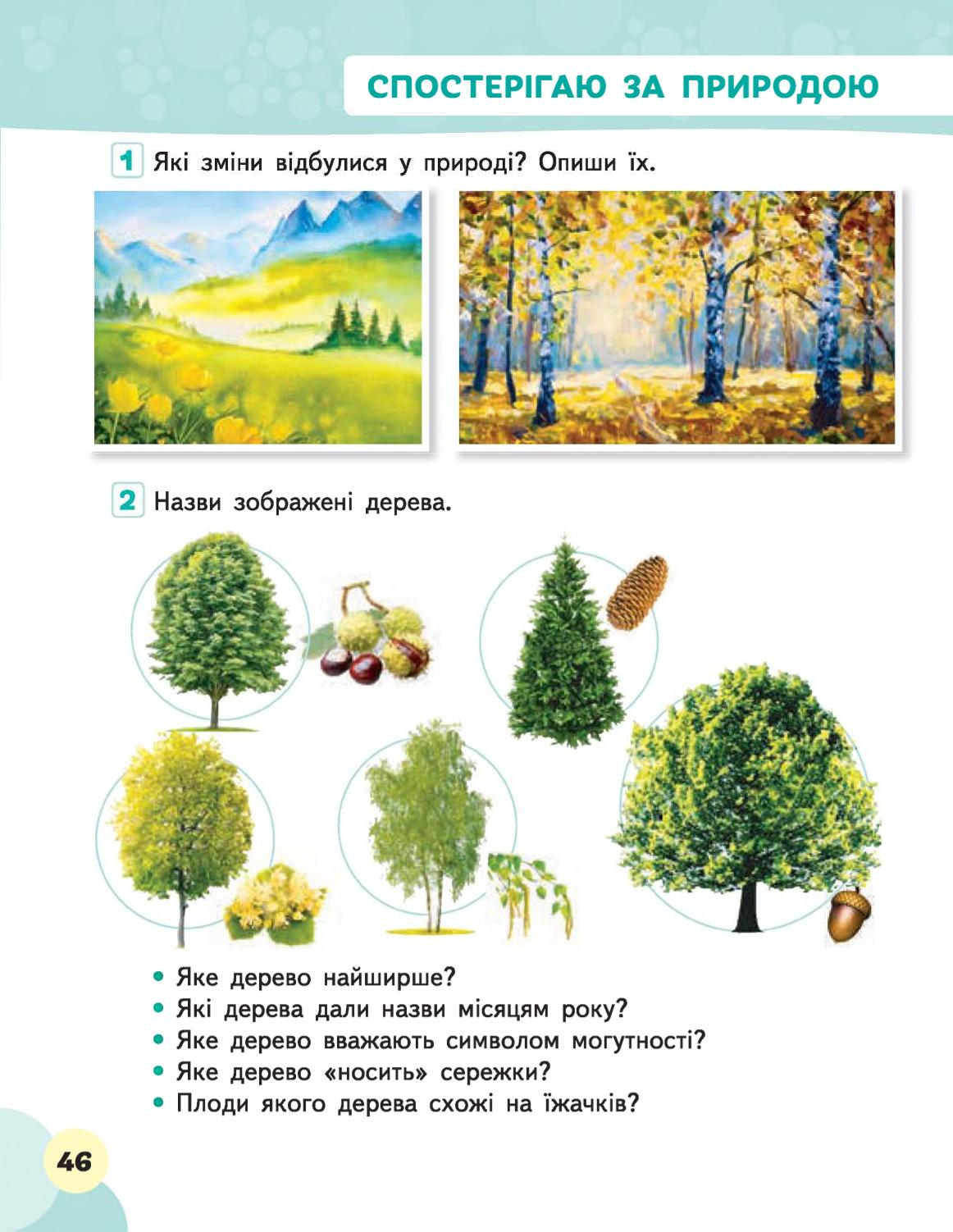 Мініатюра 46