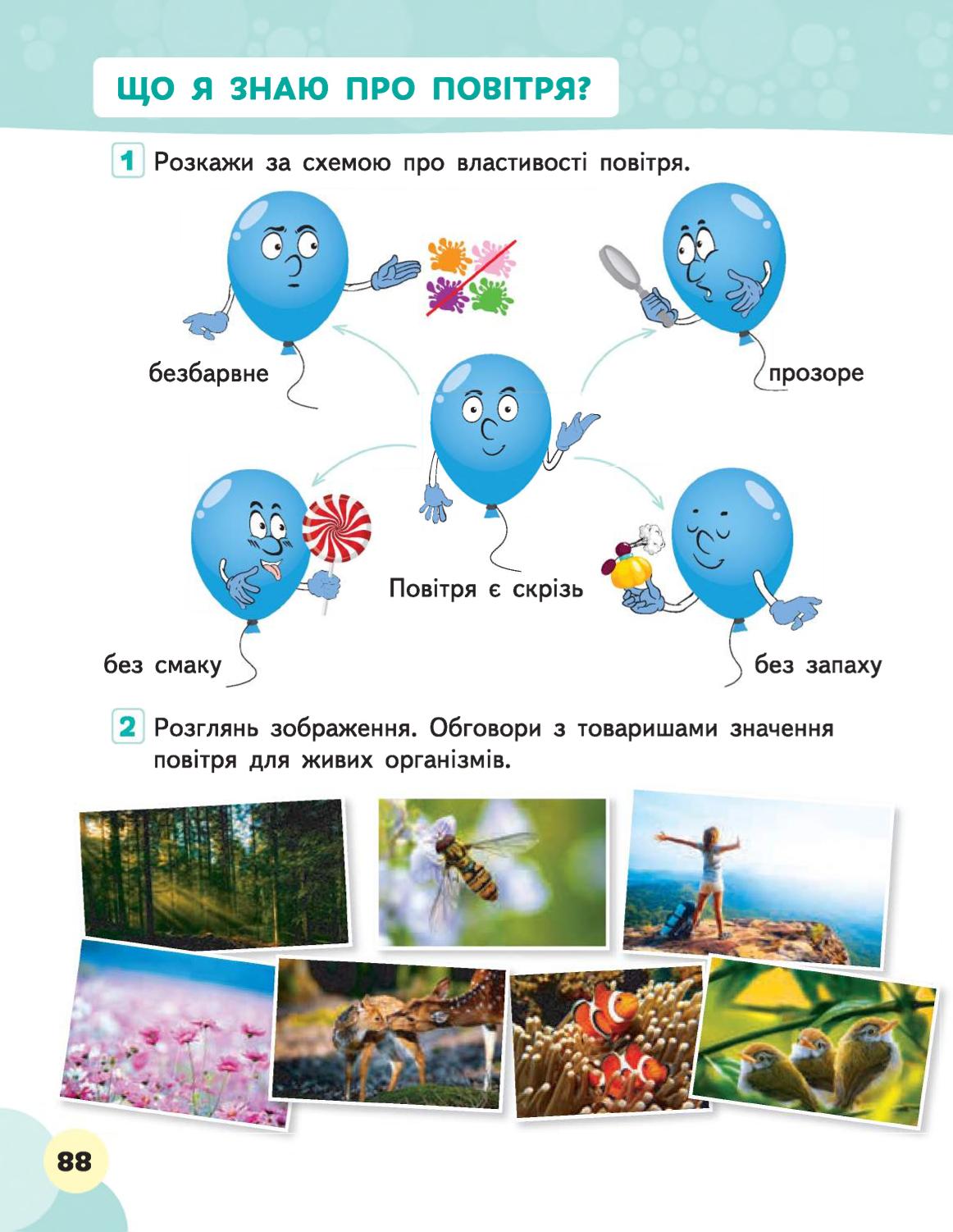 Мініатюра 88