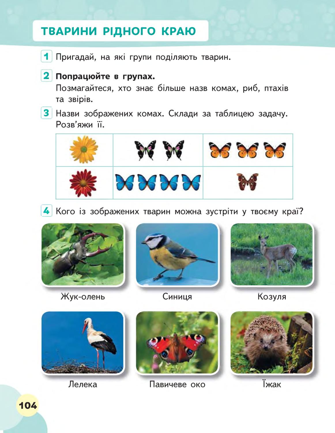 Мініатюра 104