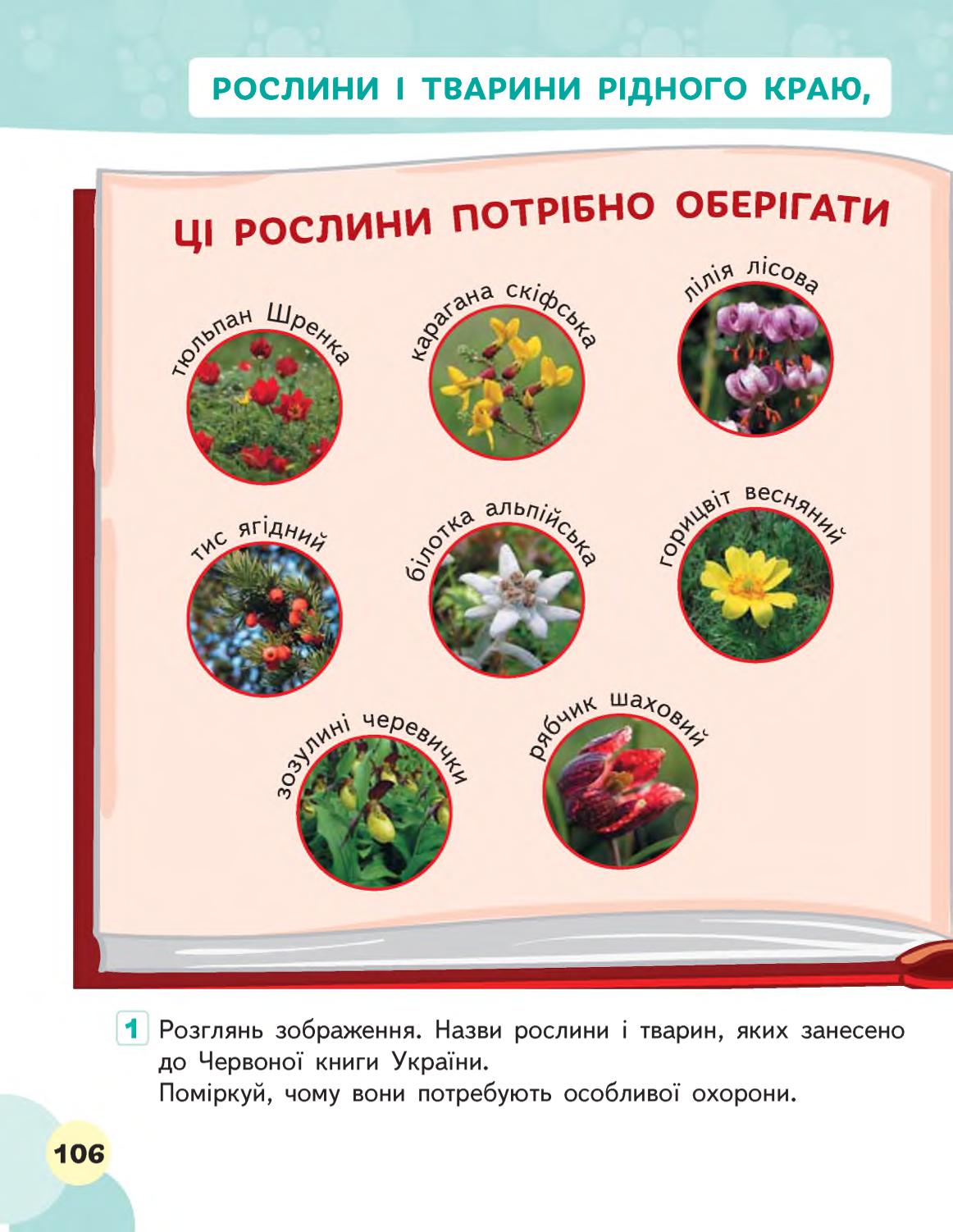 Мініатюра 106