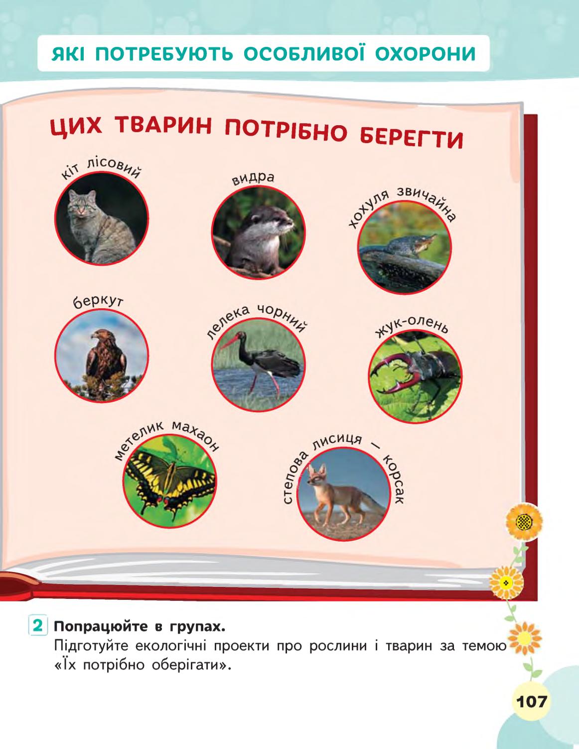 Мініатюра 107