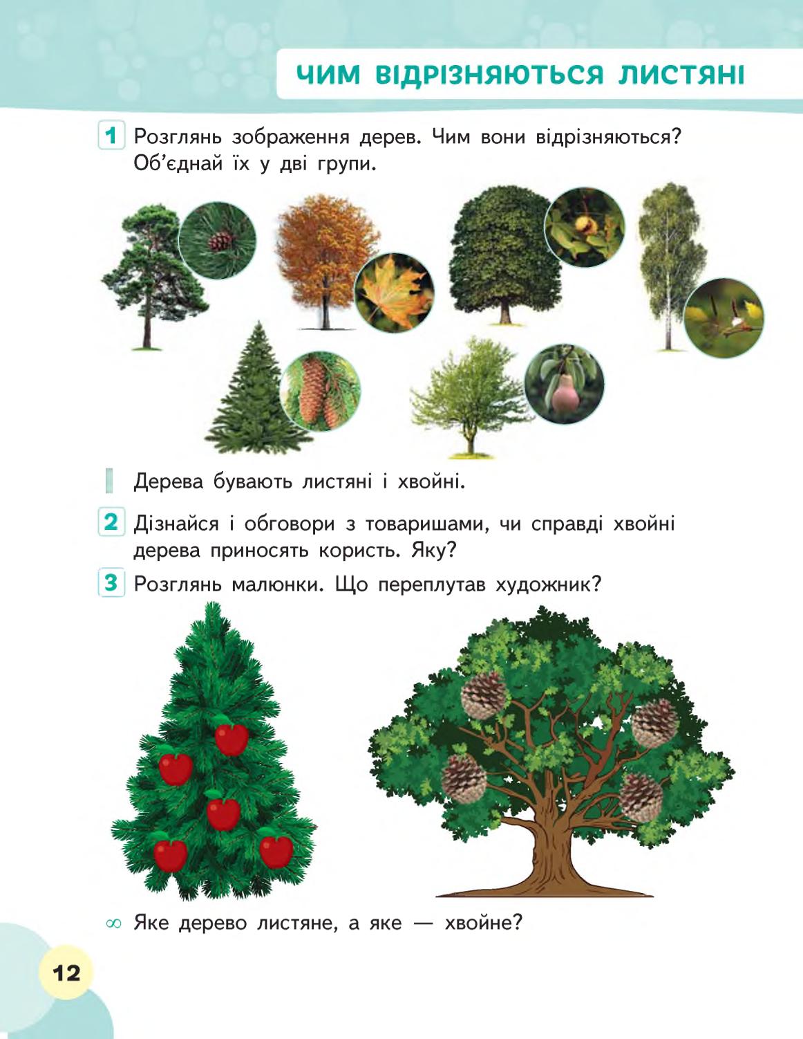 Мініатюра 12