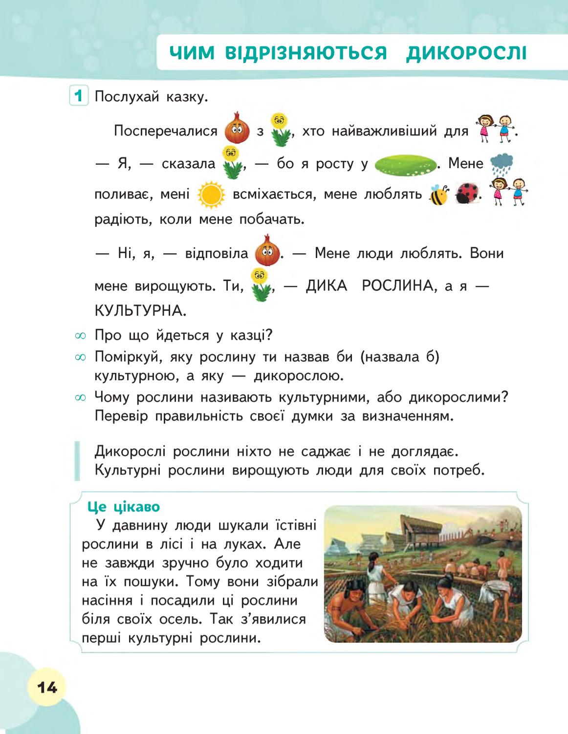 Мініатюра 14
