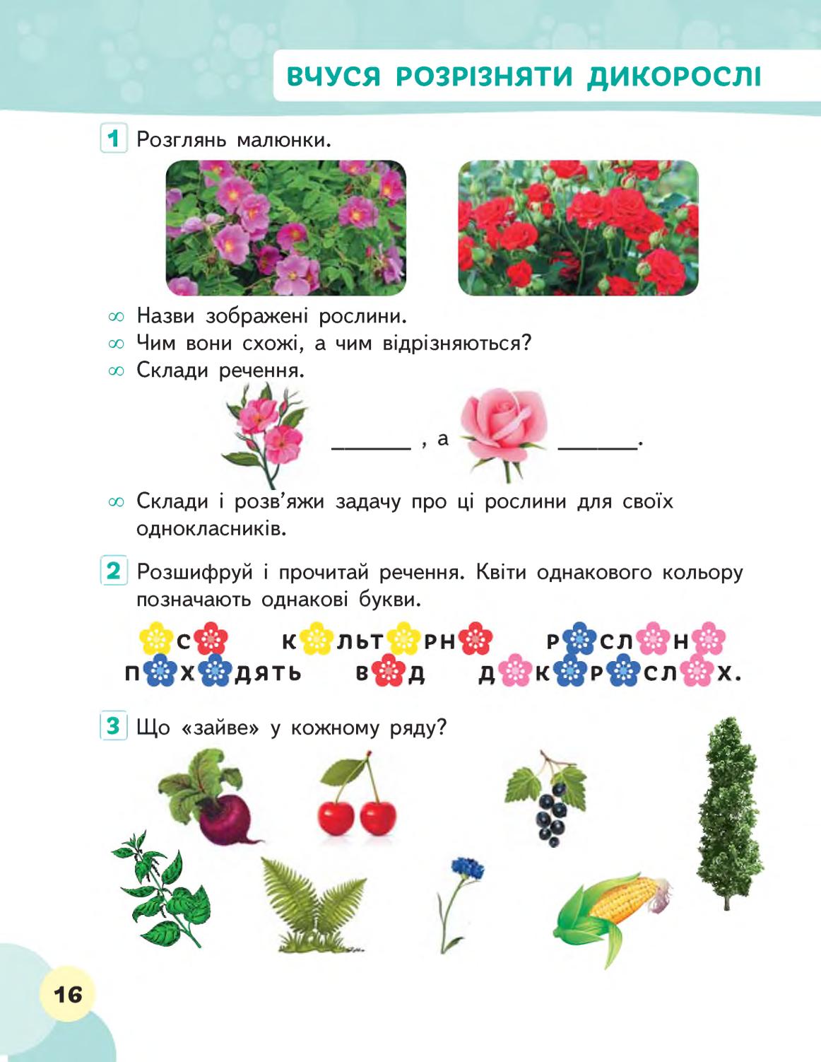 Мініатюра 16