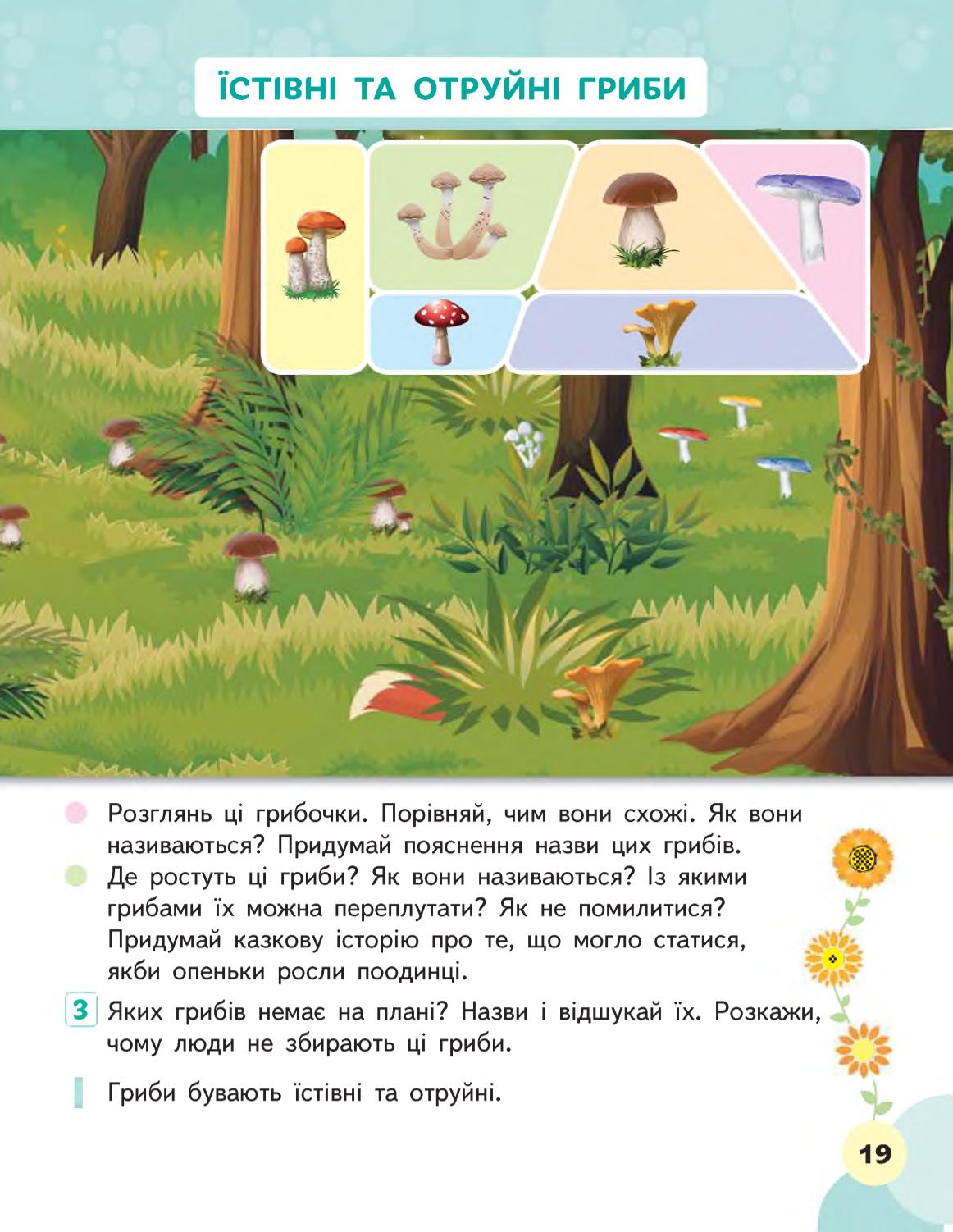 Мініатюра 19