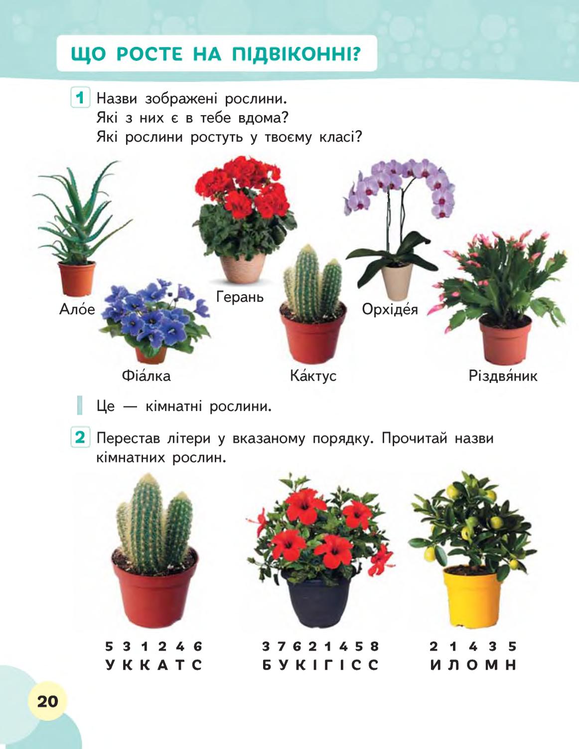 Мініатюра 20
