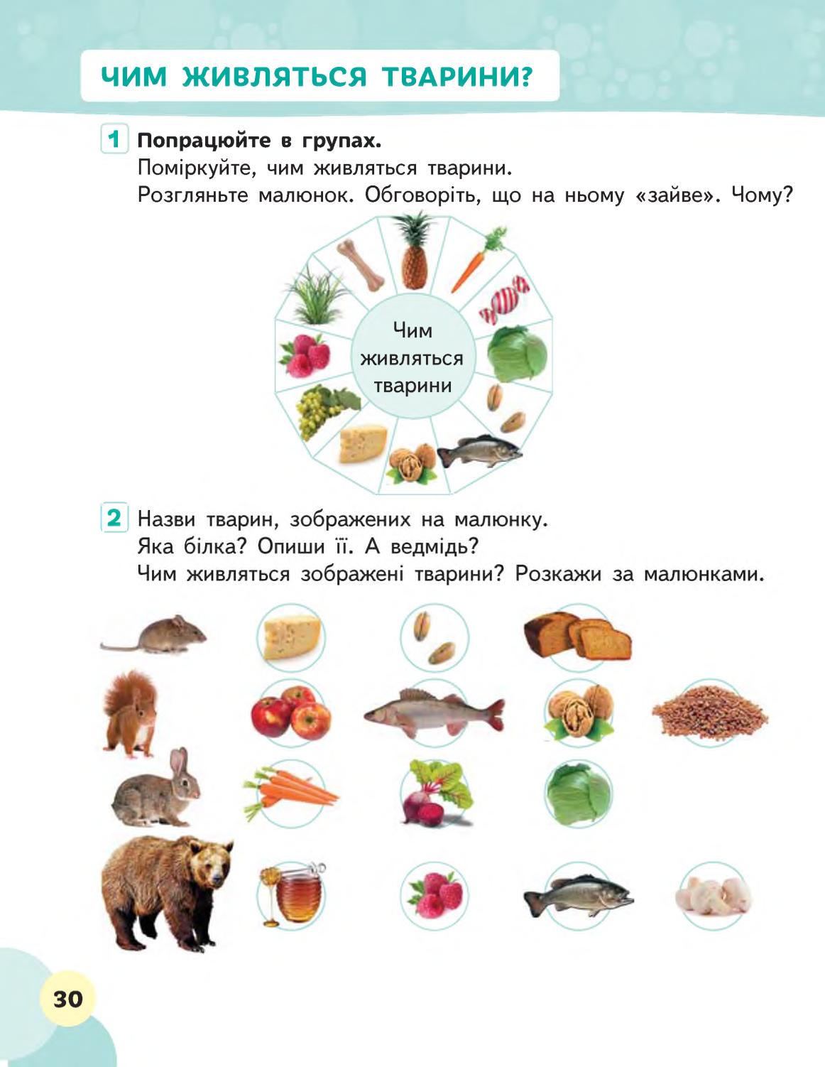Мініатюра 30