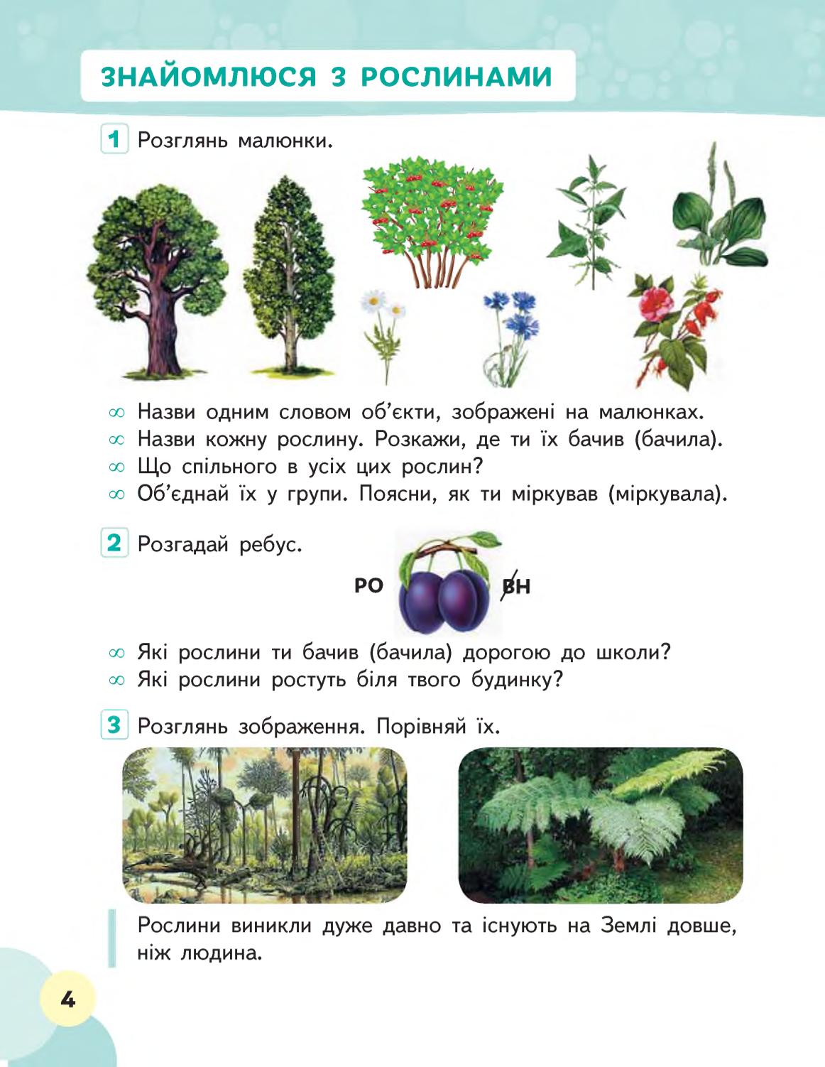 Мініатюра 4