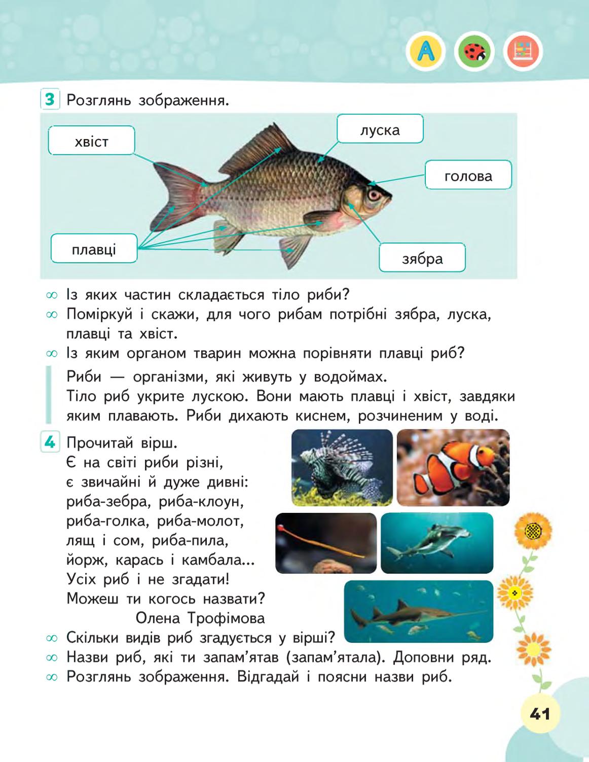 Мініатюра 41