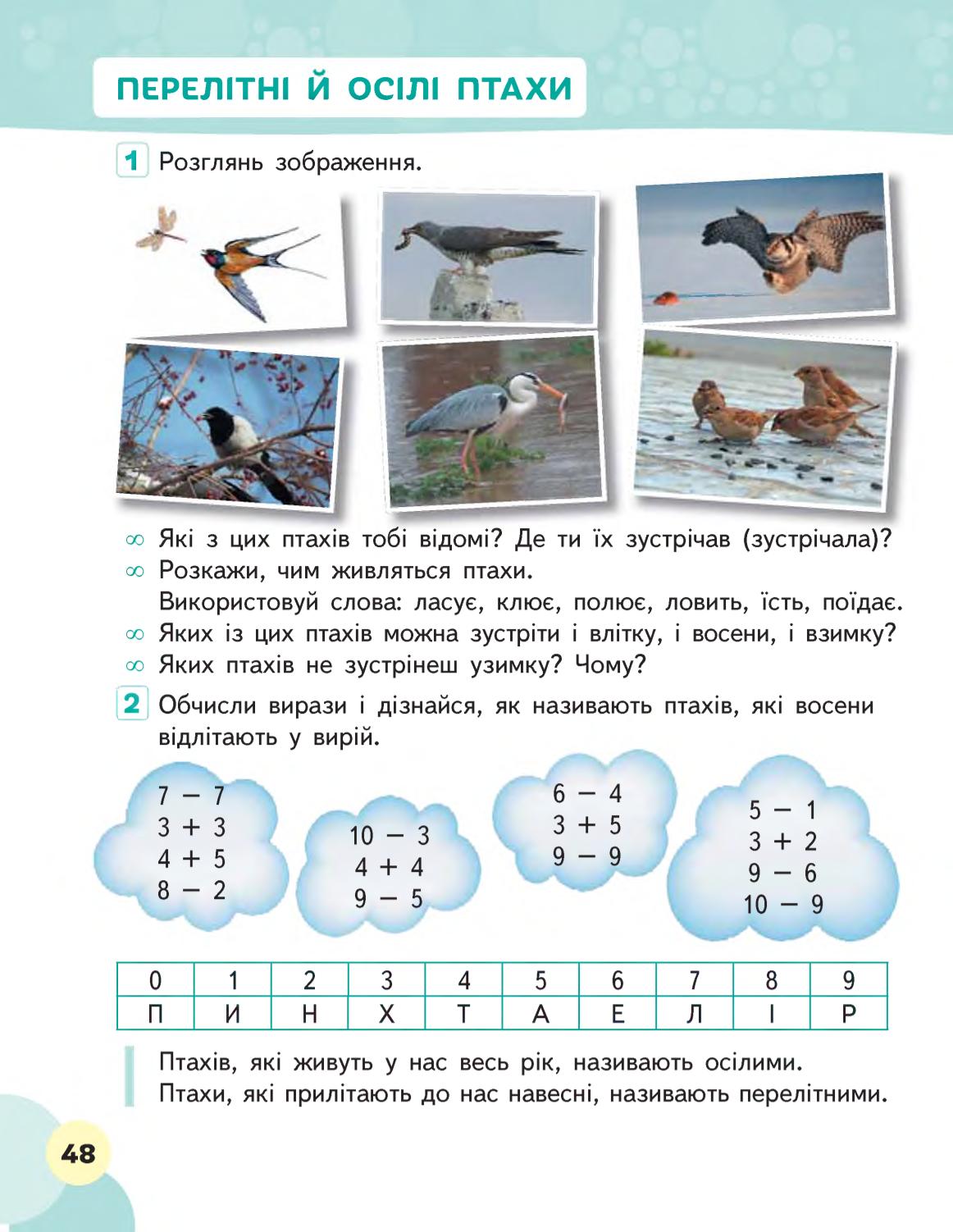 Мініатюра 48