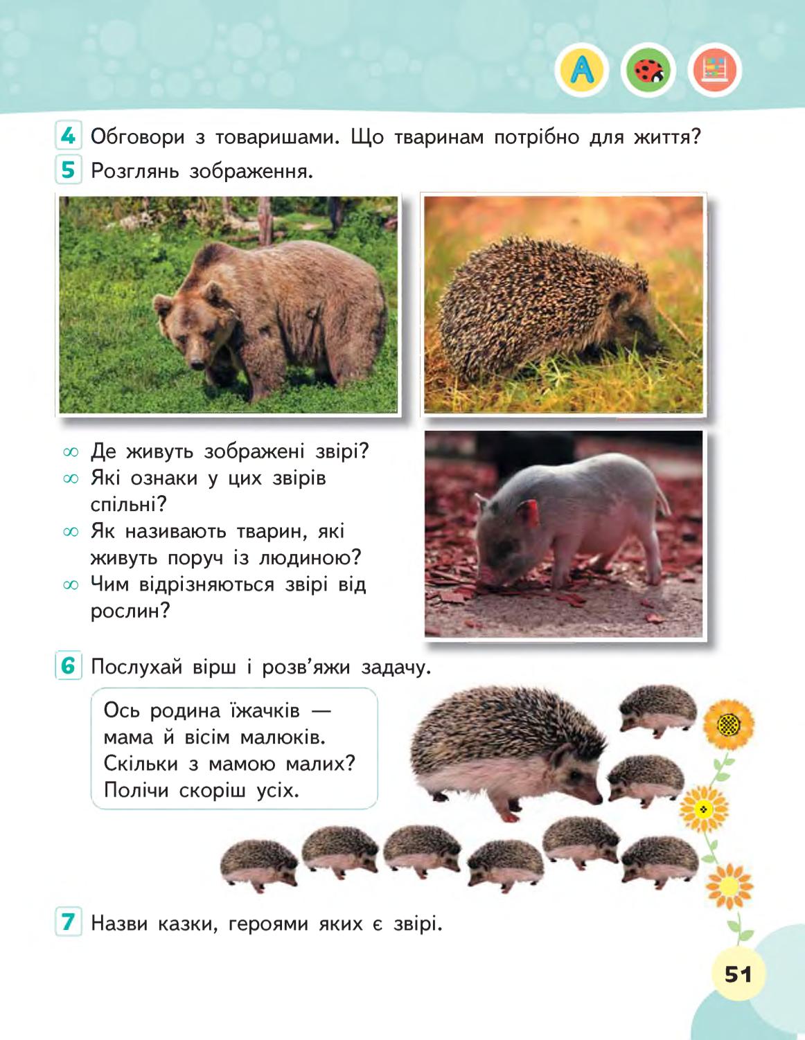 Мініатюра 51