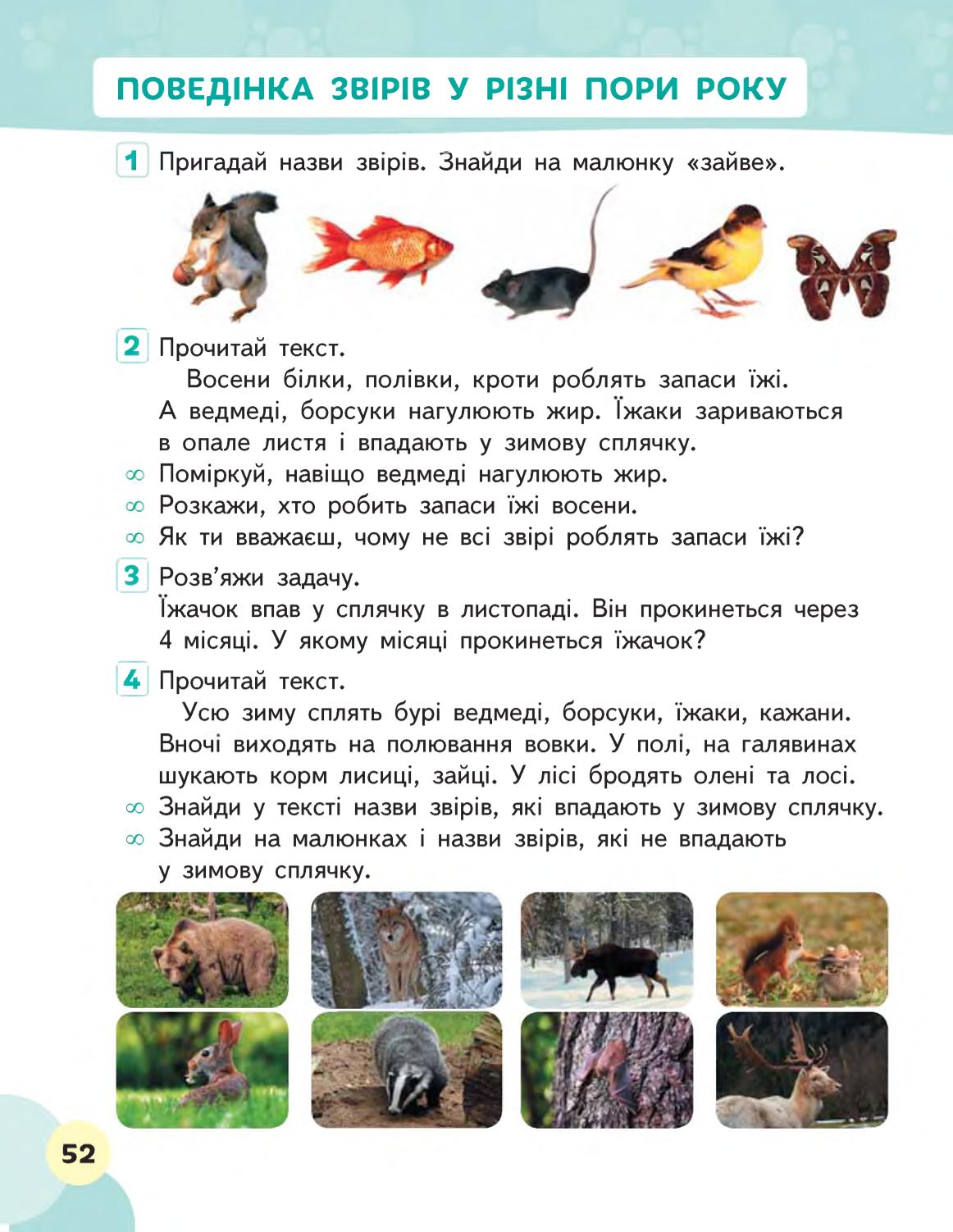 Мініатюра 52
