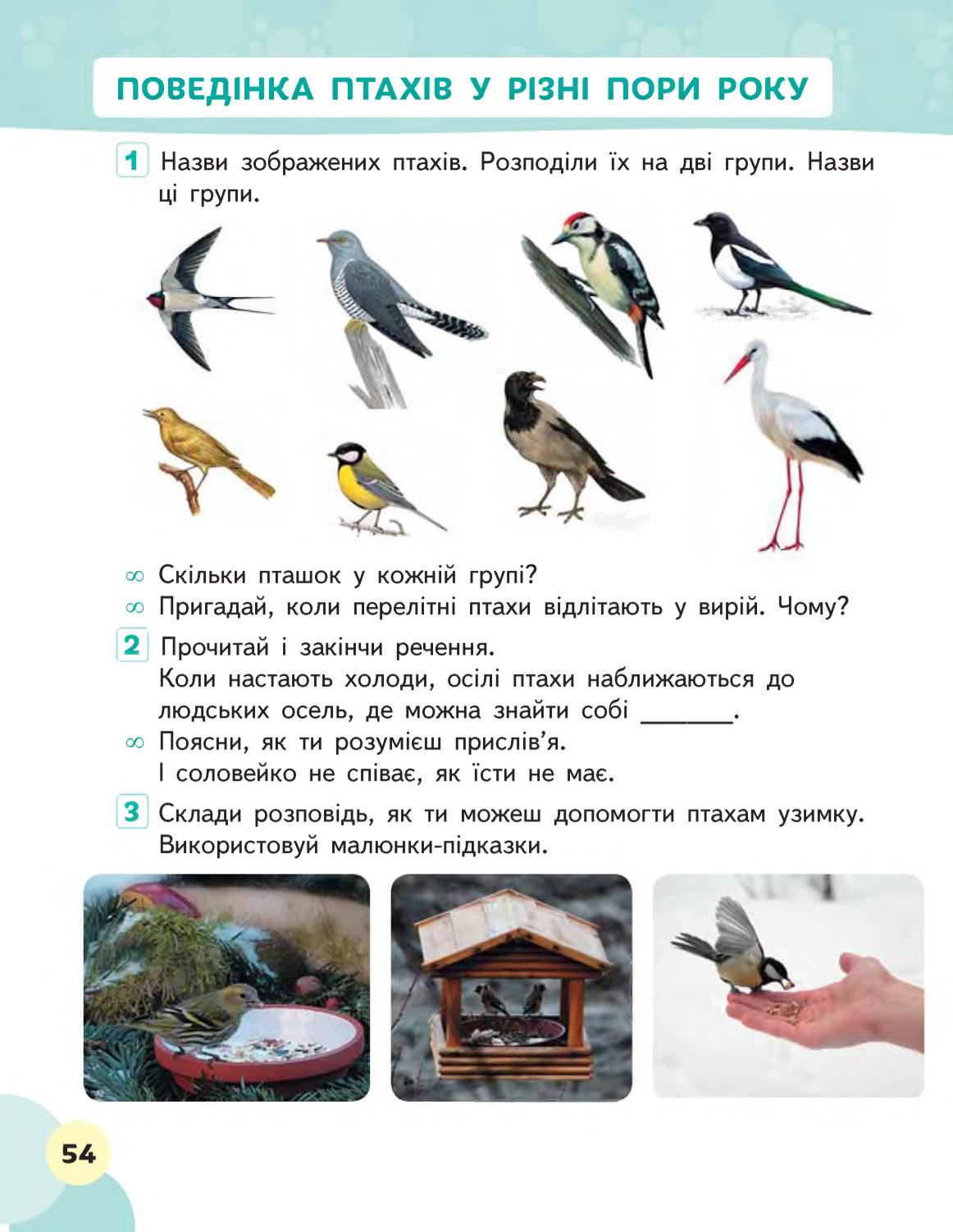 Мініатюра 54