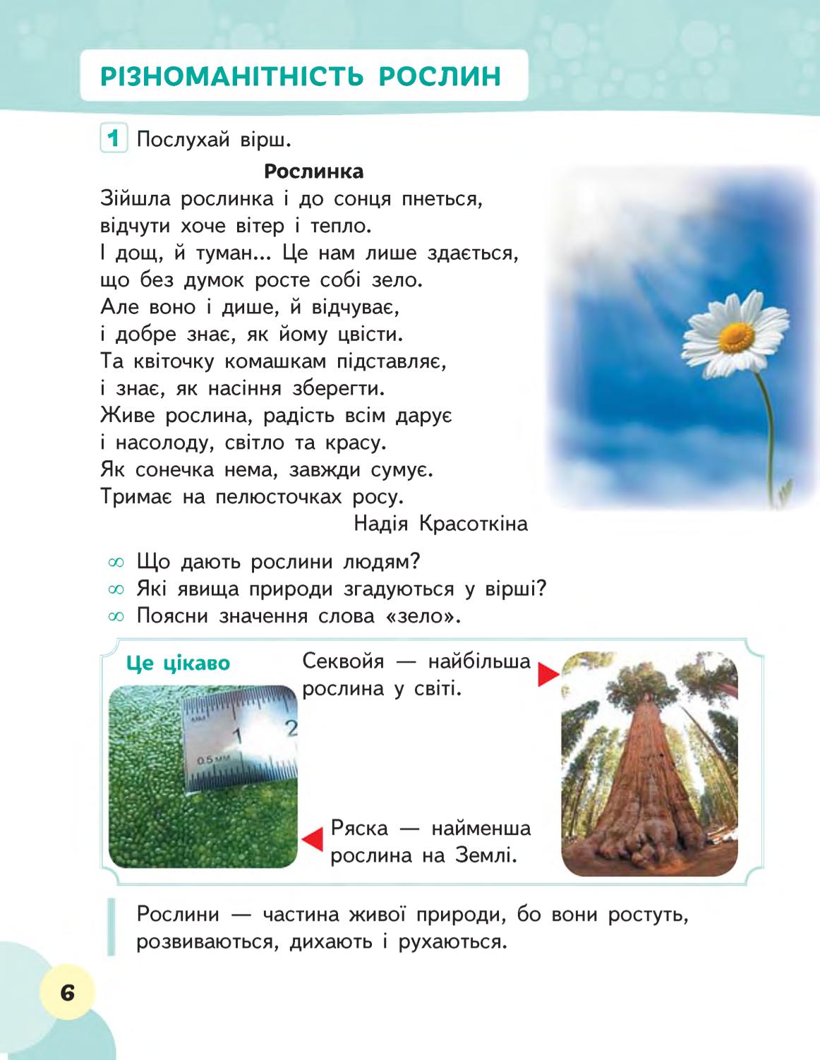 Мініатюра 6