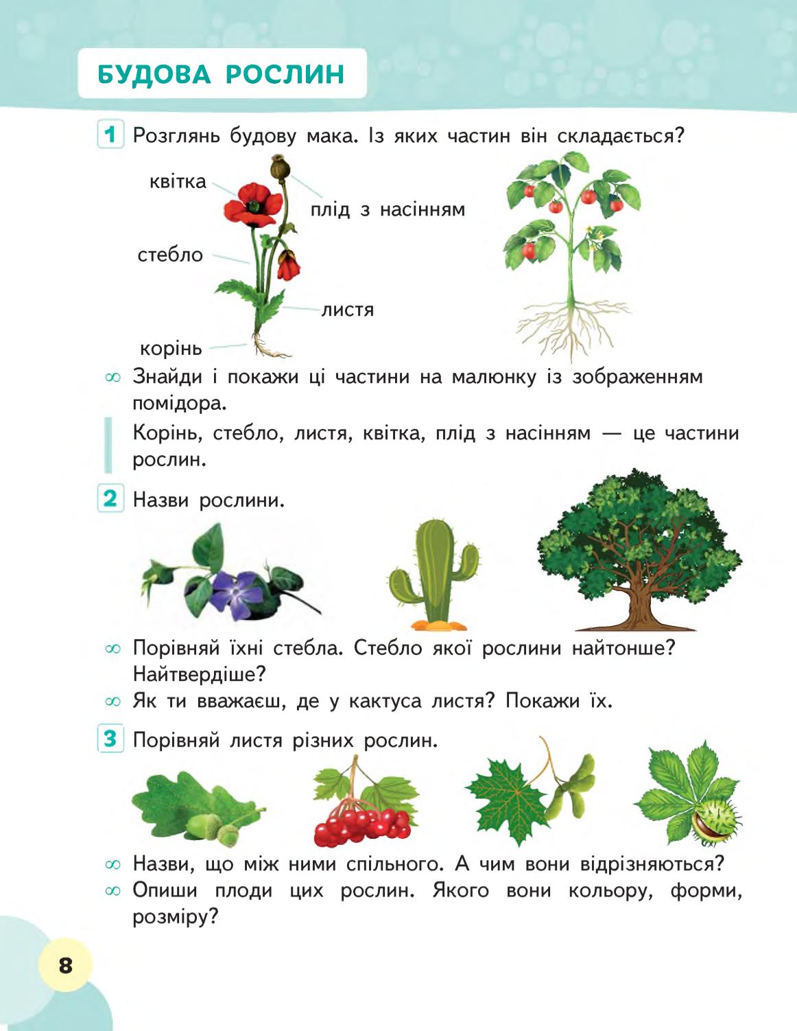 Мініатюра 8