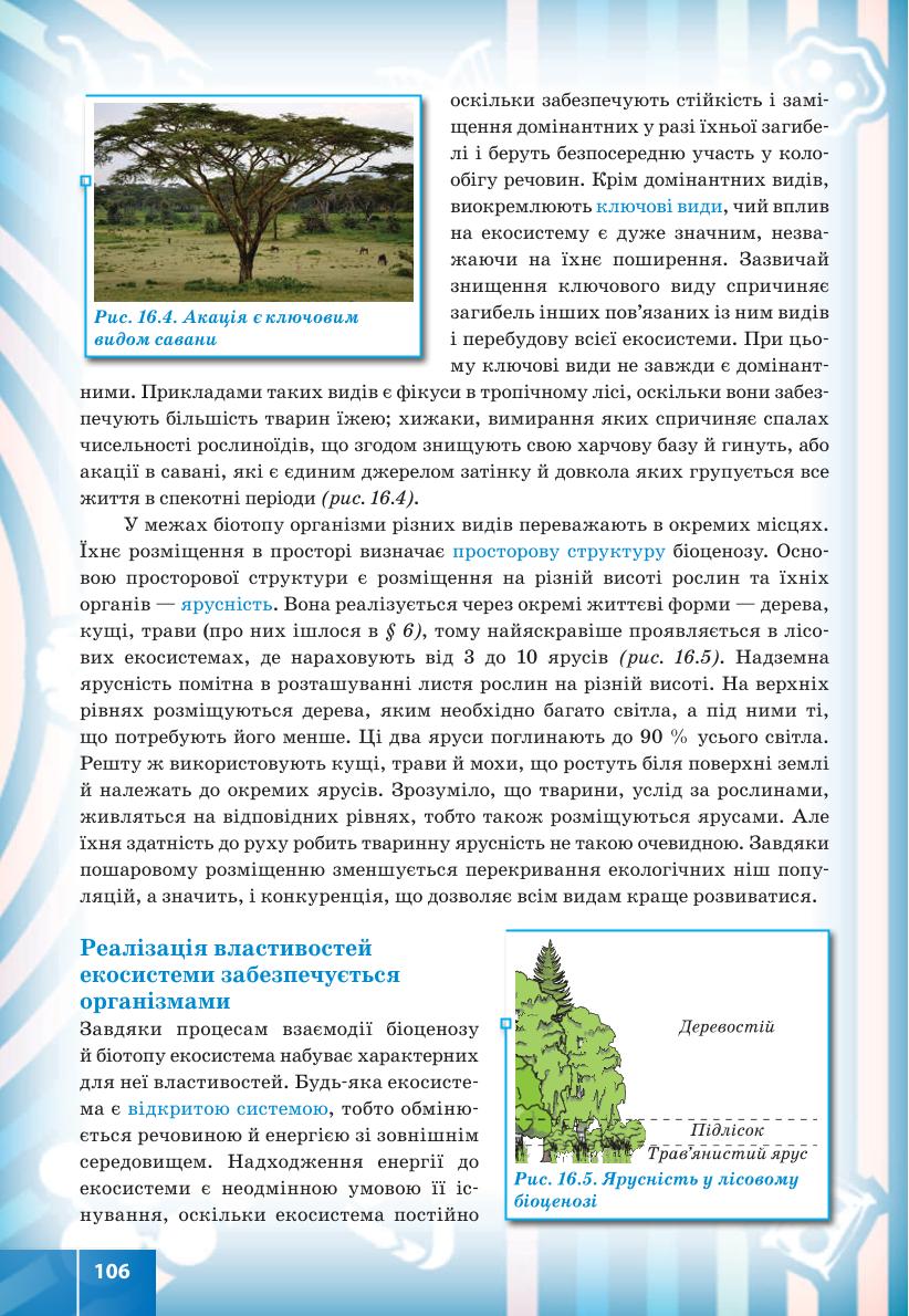 Мініатюра 106