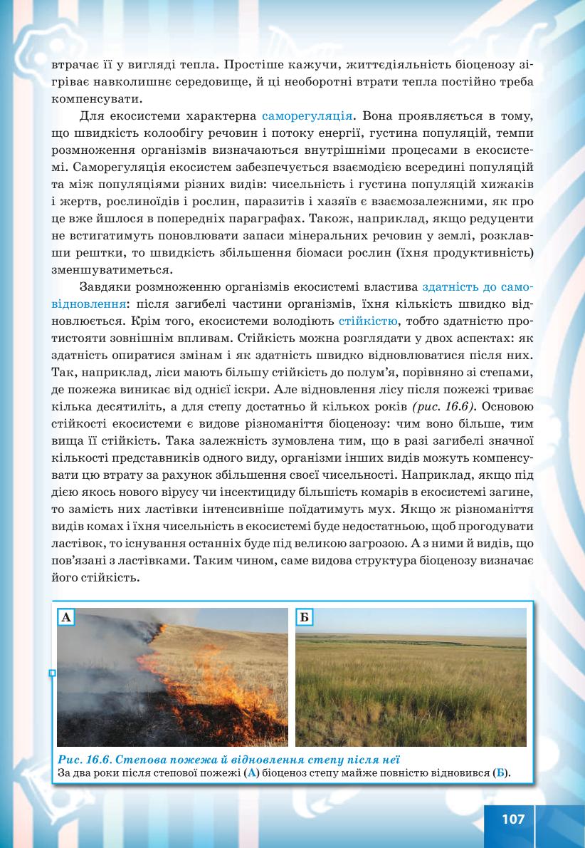 Мініатюра 107