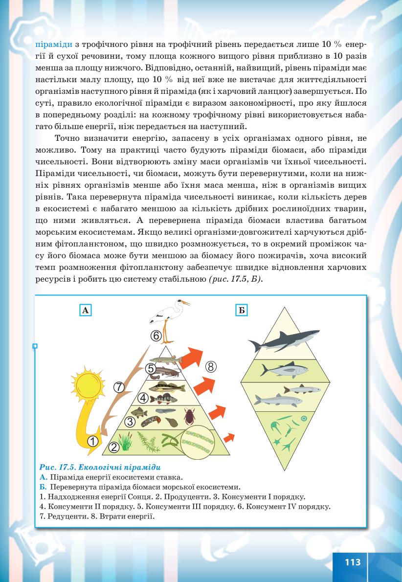 Мініатюра 113