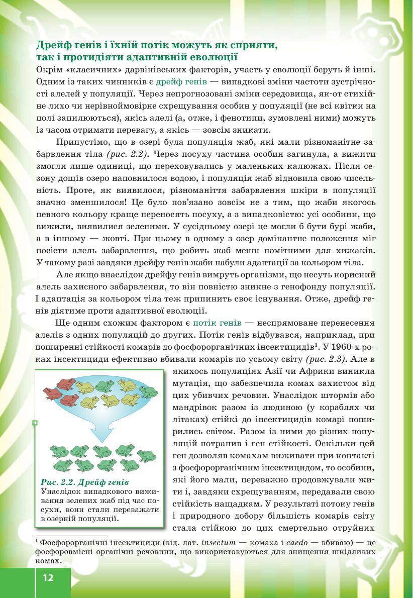 Мініатюра 12