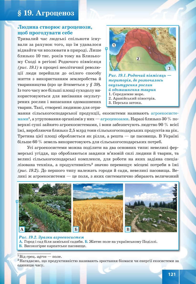Мініатюра 121