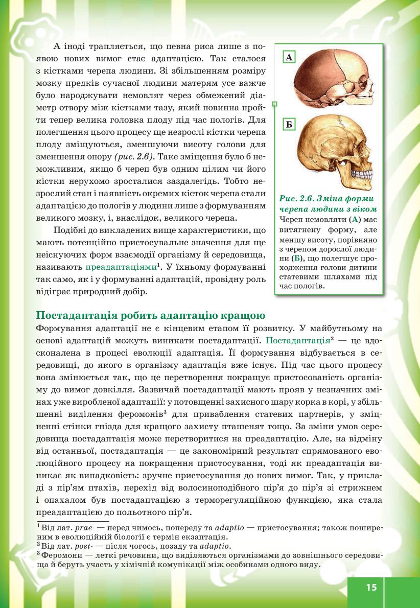 Мініатюра 15