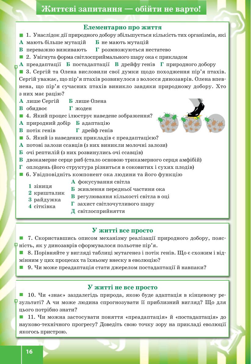 Мініатюра 16
