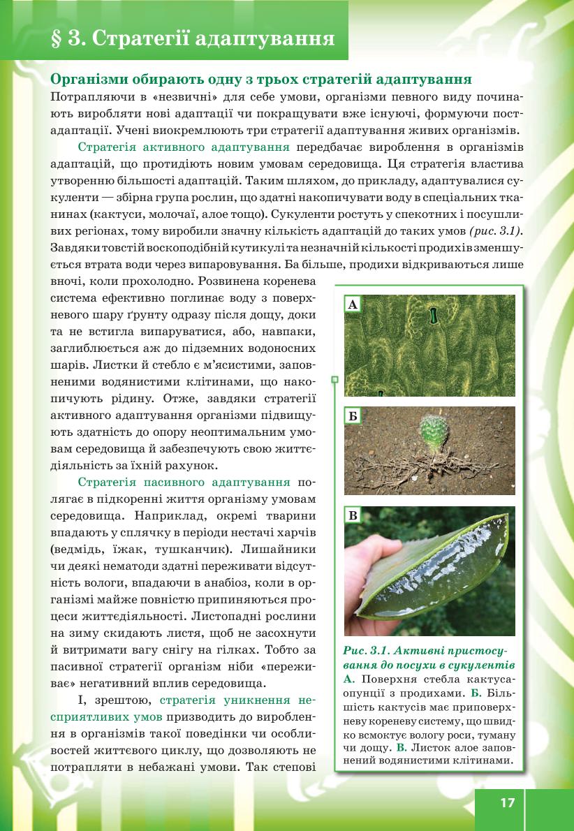 Мініатюра 17