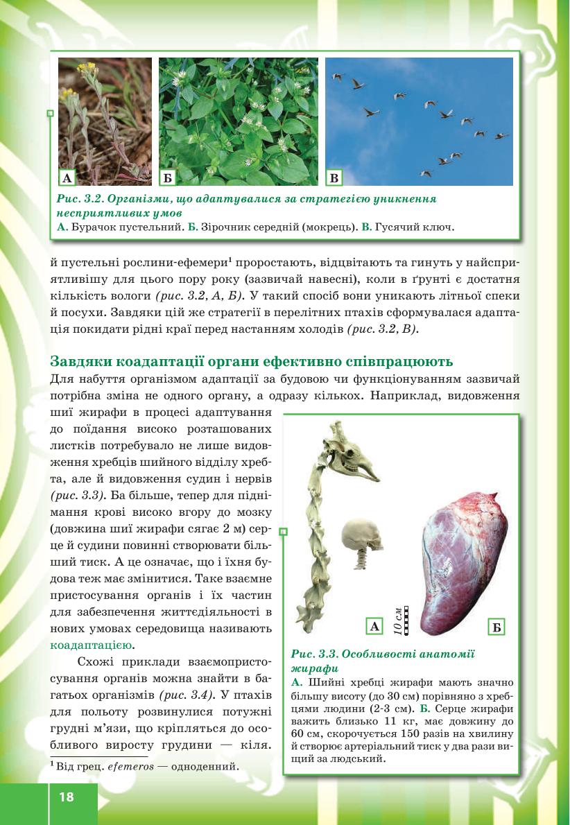 Мініатюра 18
