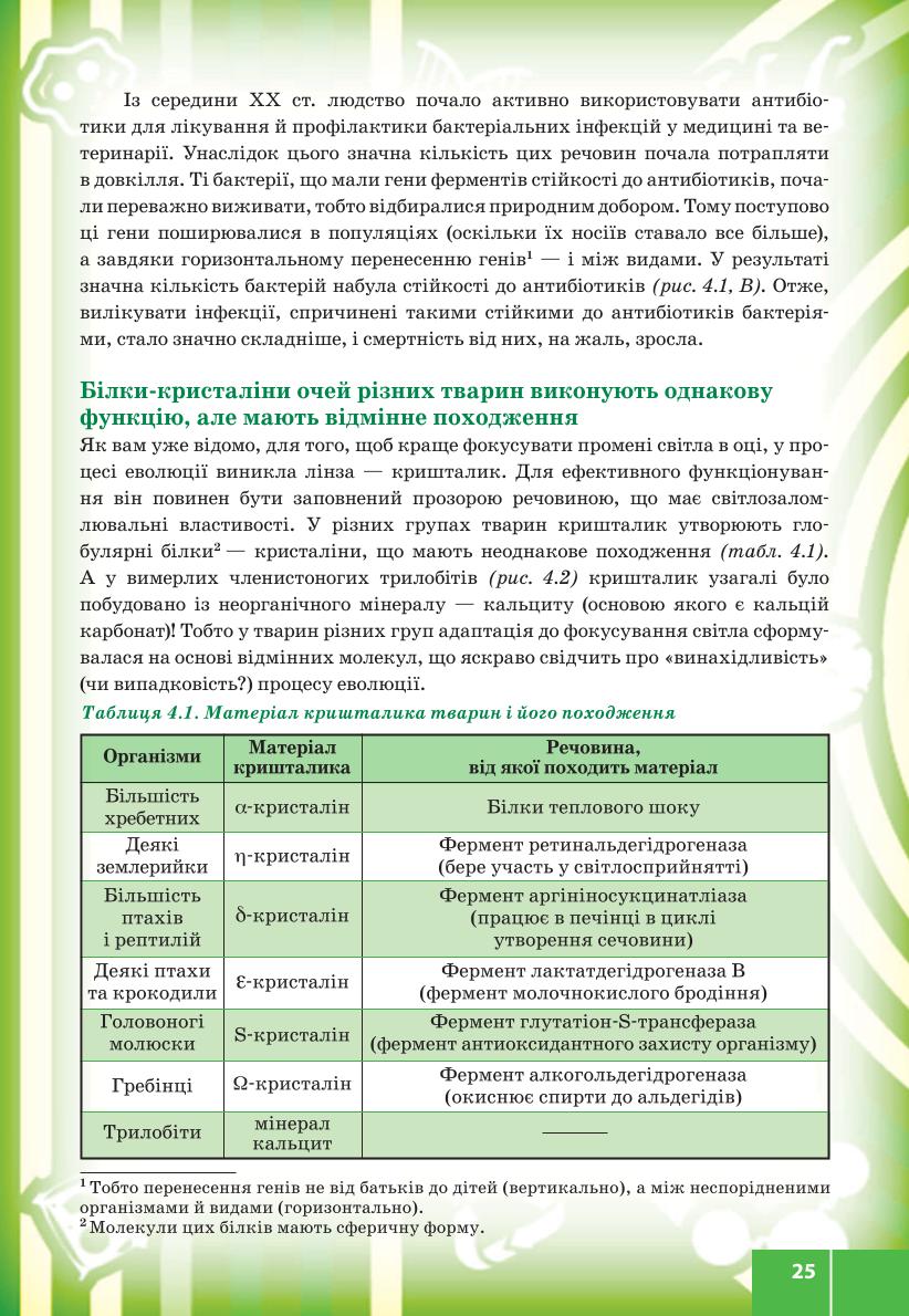 Мініатюра 25