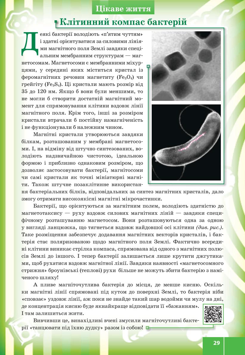 Мініатюра 29