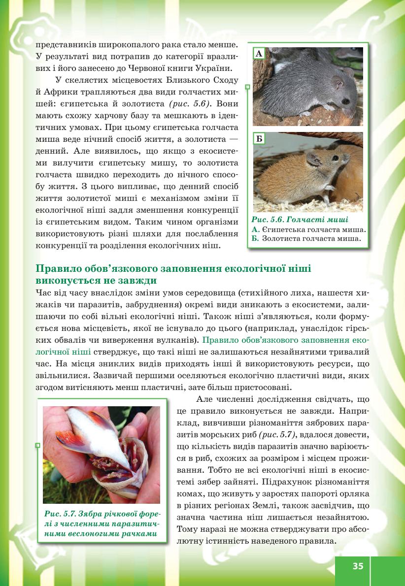 Мініатюра 35
