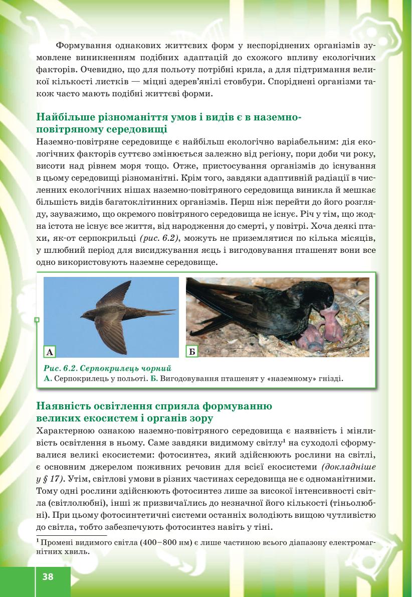 Мініатюра 38
