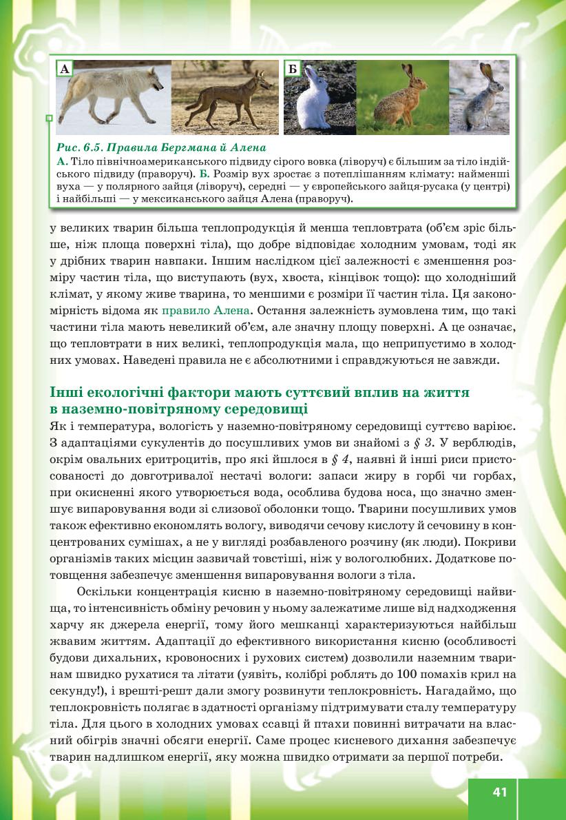 Мініатюра 41