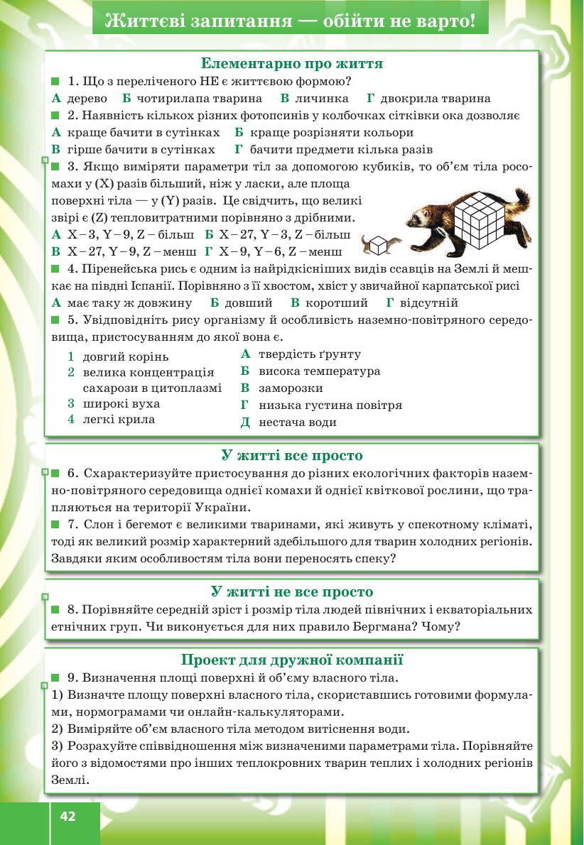 Мініатюра 42