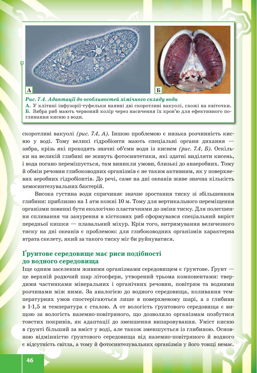 Мініатюра 46